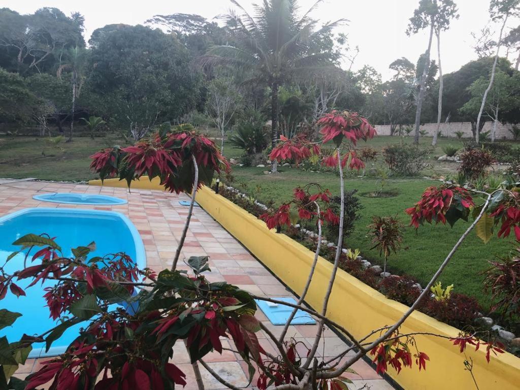 Sitio Damasio *